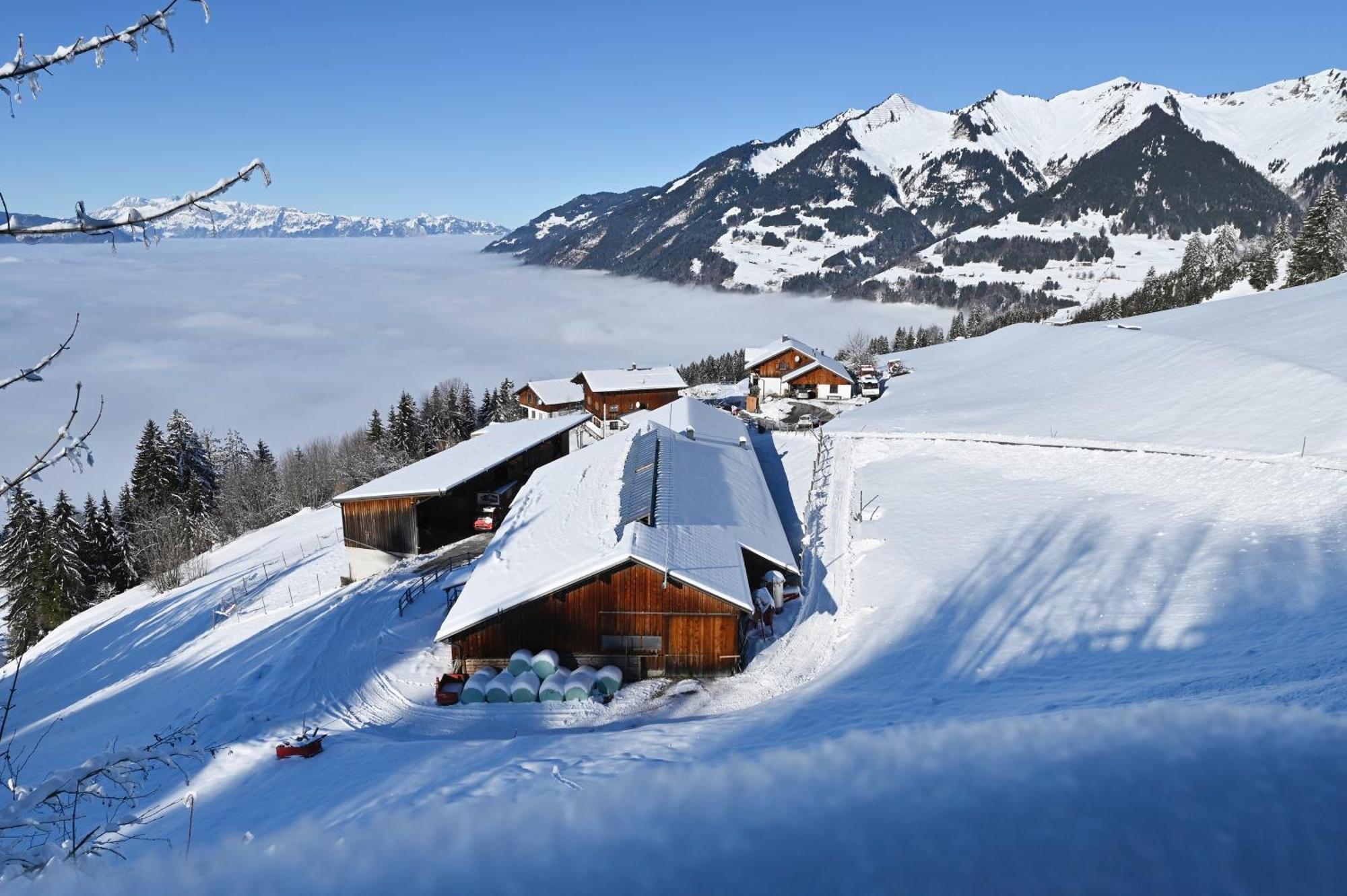Berghof Burtscher Ludesch Exterior photo